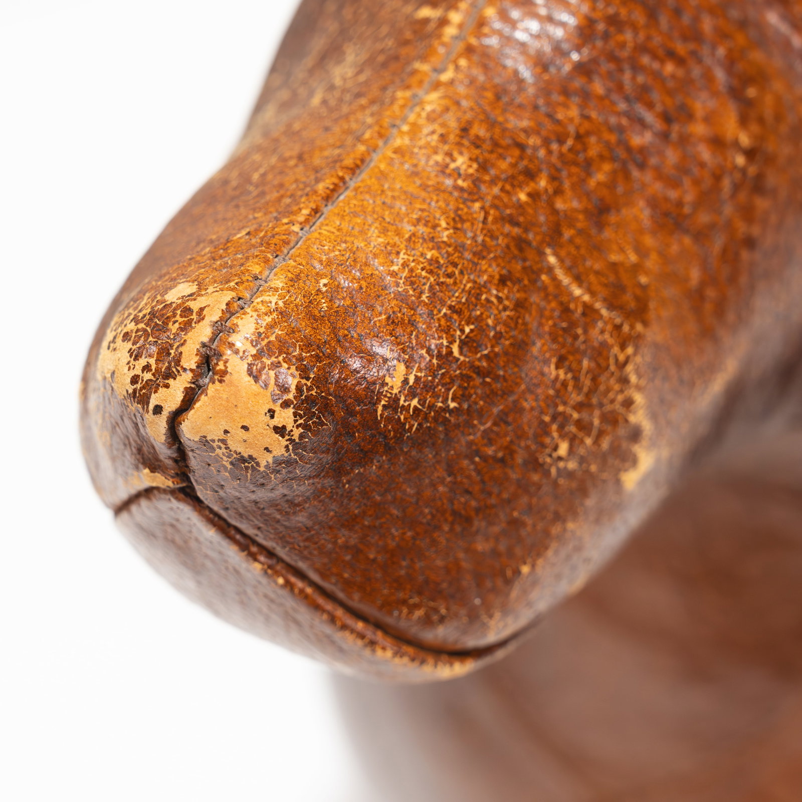 Leather Dog - 3