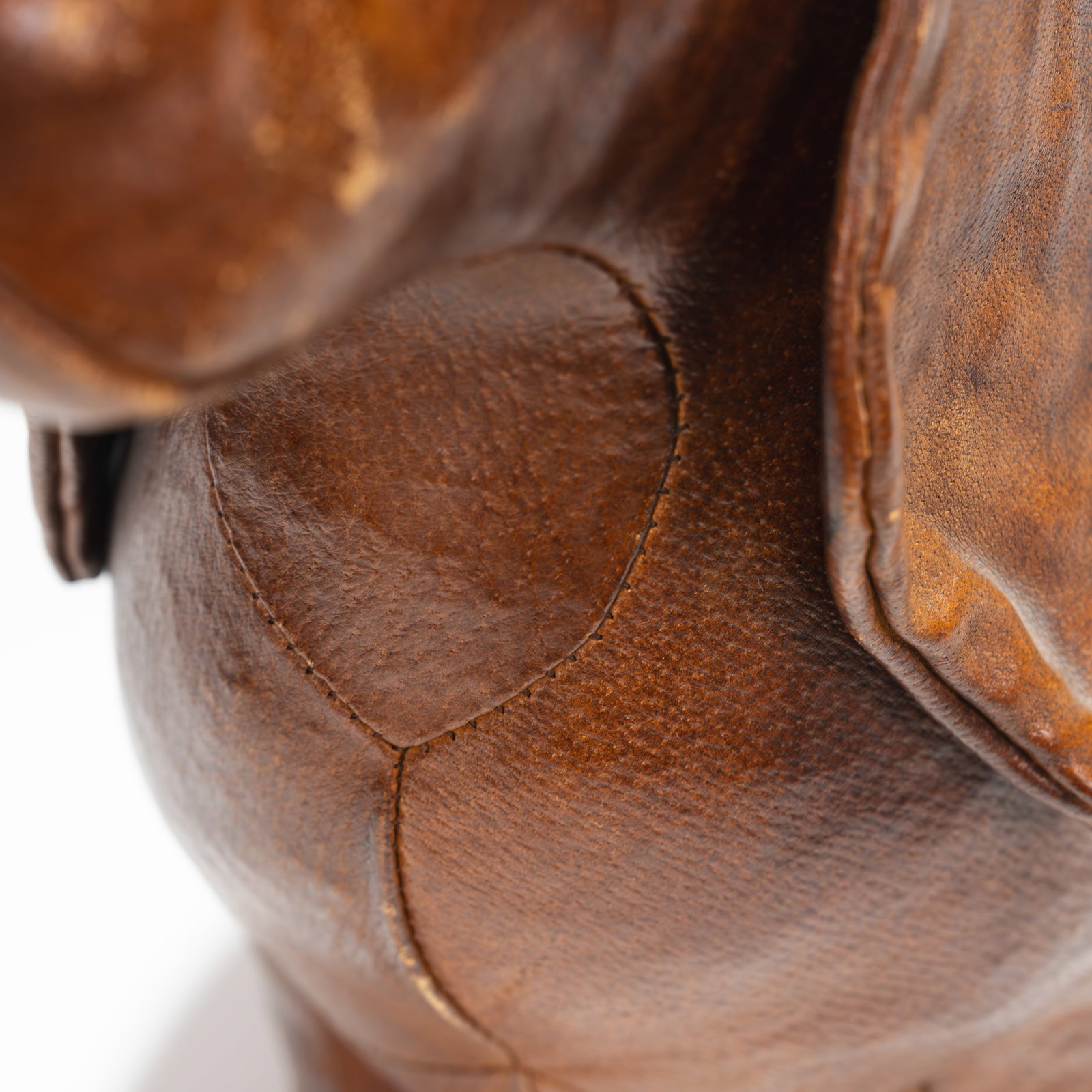 Leather Dog - 5