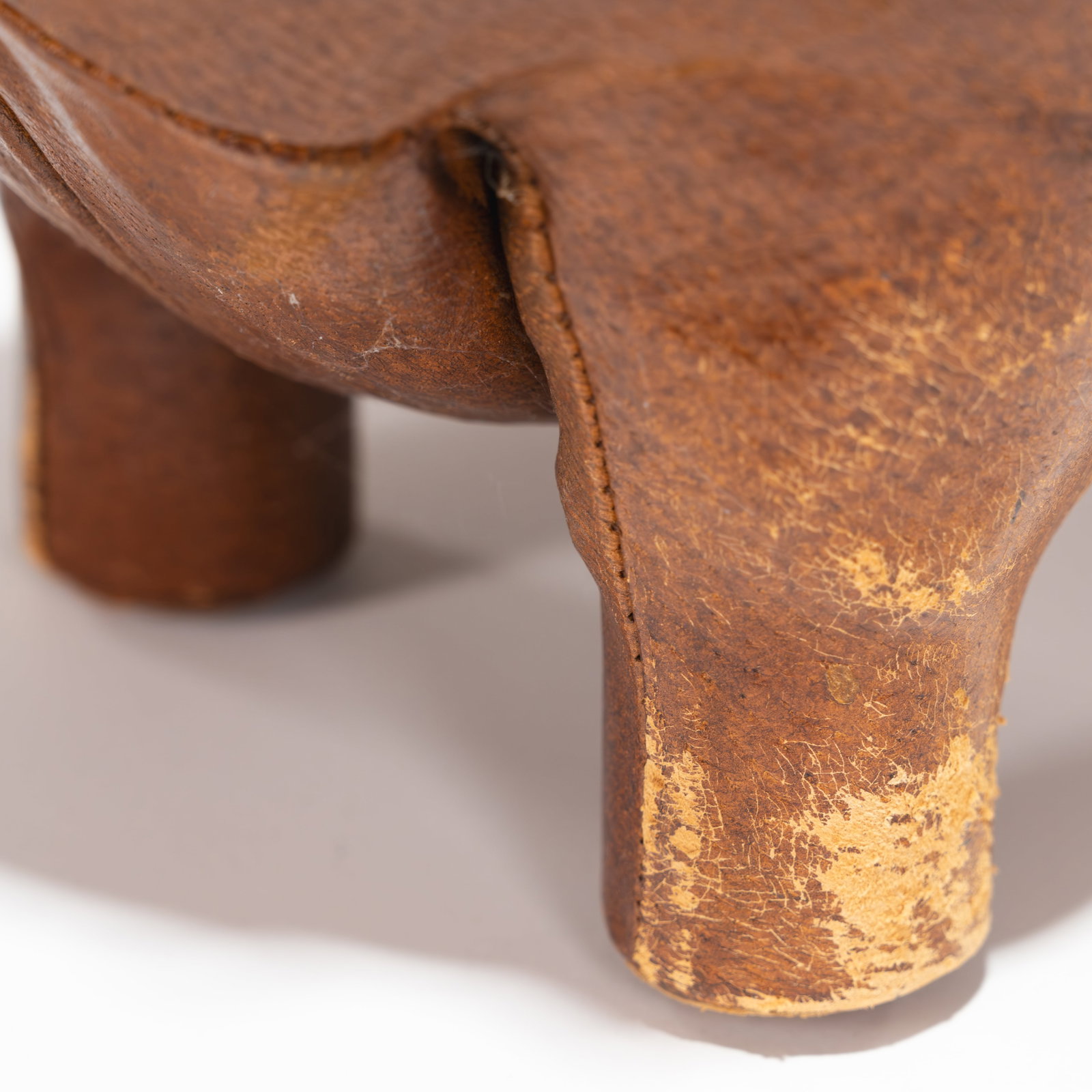 Leather Dog - 6