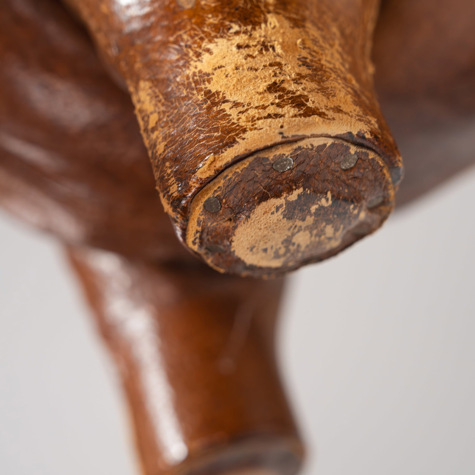 Leather Dog - 9