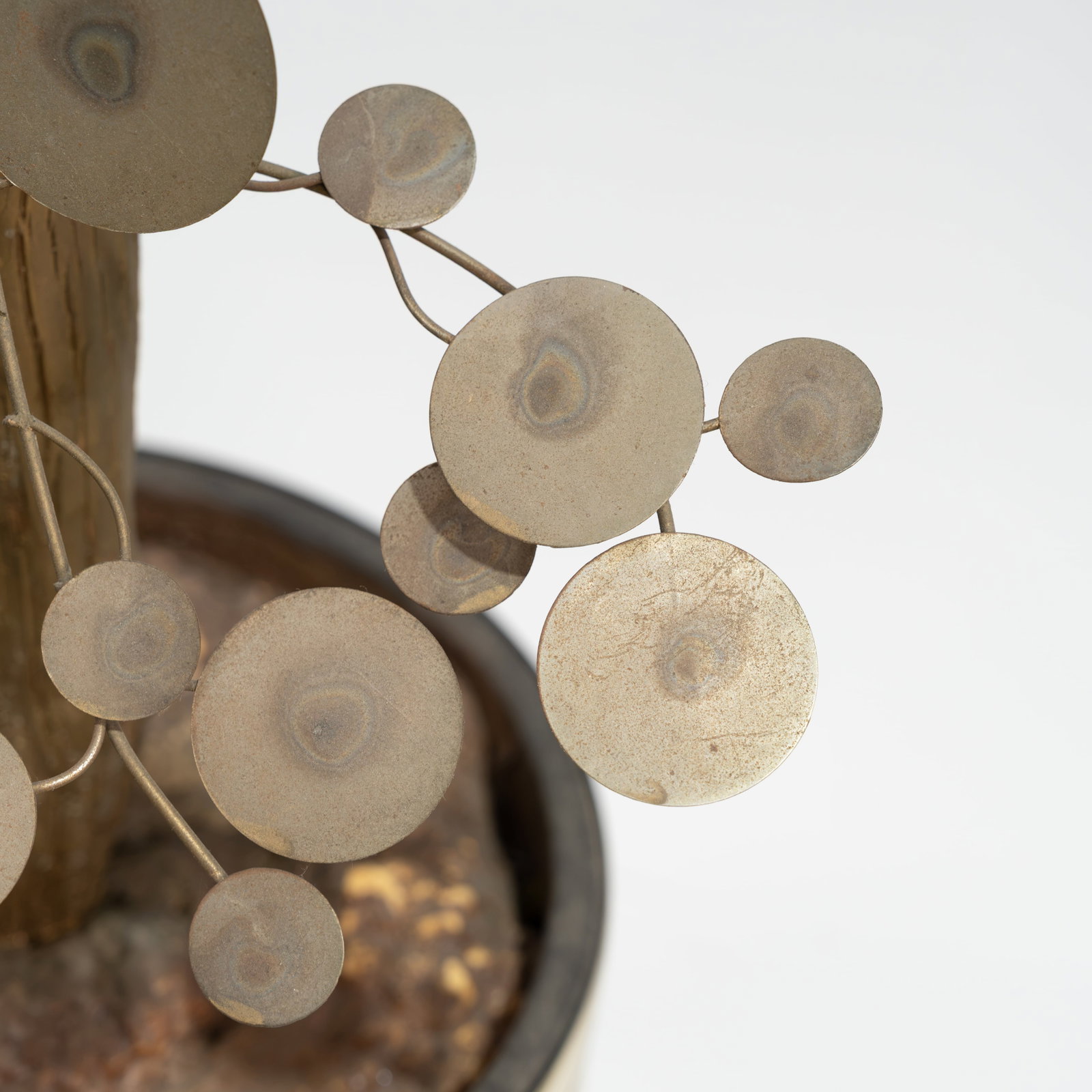 Curtis Jere - Brass Tree - 3
