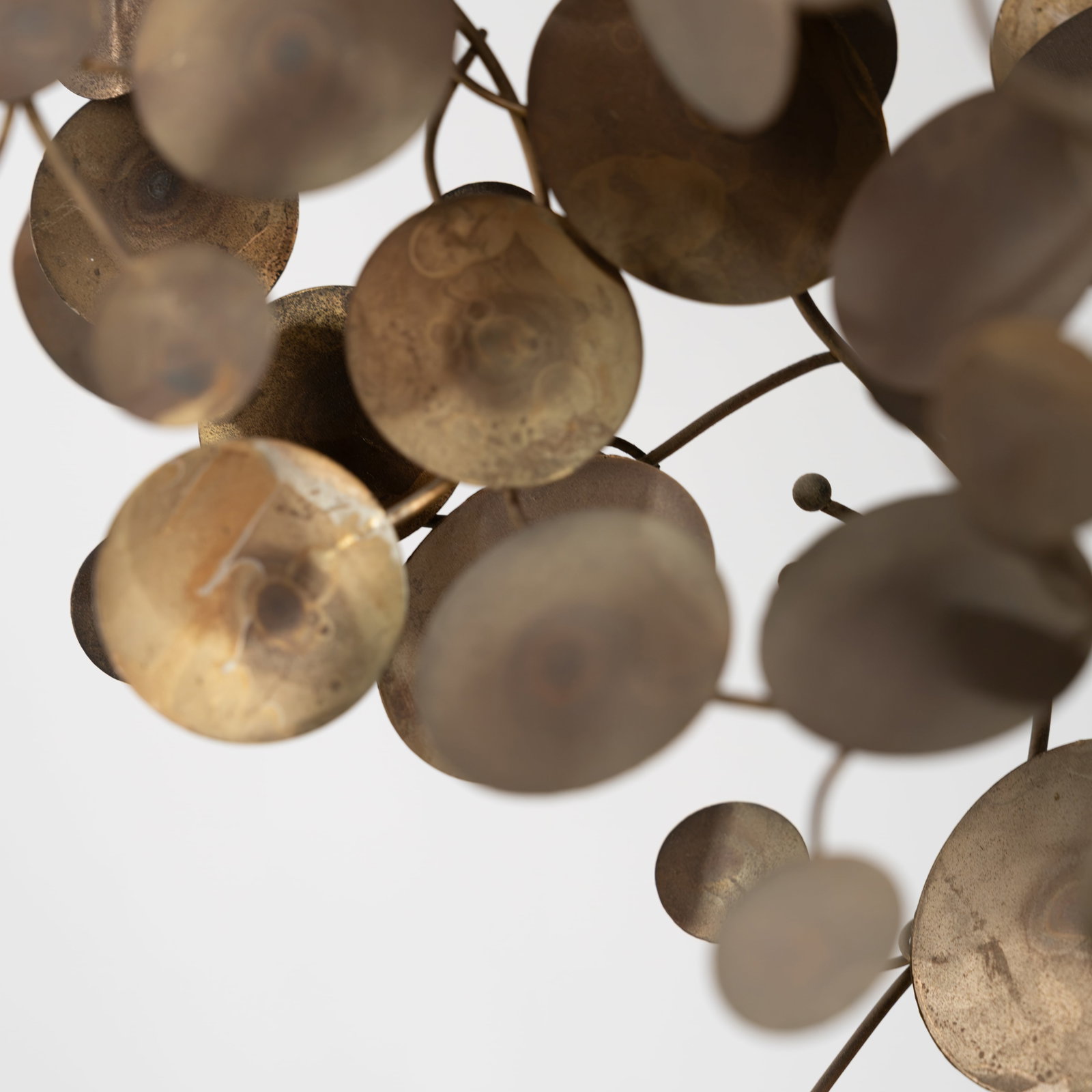 Curtis Jere - Brass Tree - 8