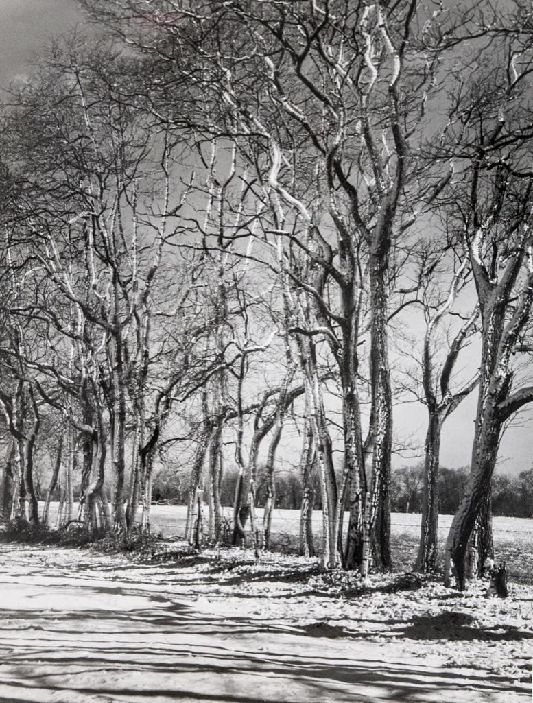 A. Aubrey Bodine Gelatin Silver Print: "The Unexpected" circa 1950, gelatin silver print, signed "A. Aubrey Bodine" lr, photographers stamp on verso, 11 x 14 in., unframed
