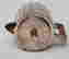 item-111385911=6