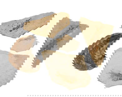 Five Prehistoric Fish Fossils: Five Prehistoric Fish FossilsApproximately 40 million years old.Largest Fossil Measures 13.75" x 9.5" x 0.5"