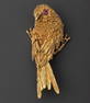 Wonderful 14 Karat and Ruby Bird Brooch