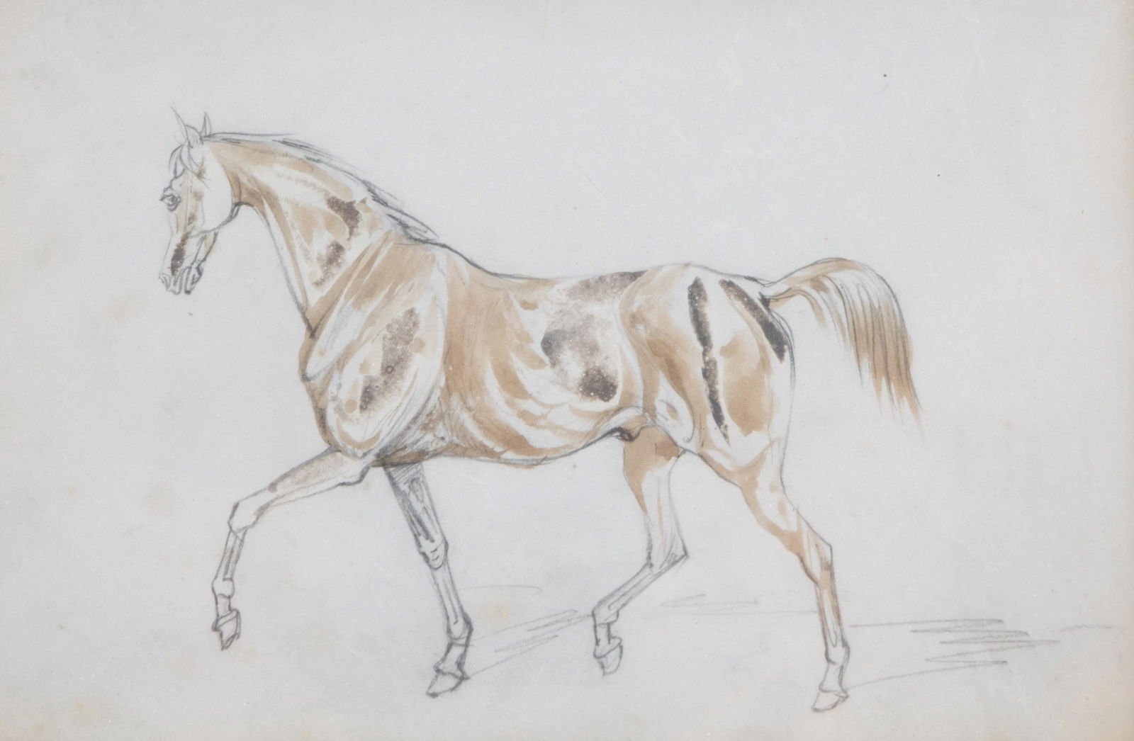 Mystery Artist, An Ink and Watercolor Drawing of a Horse, 19th Century (1 of 4)