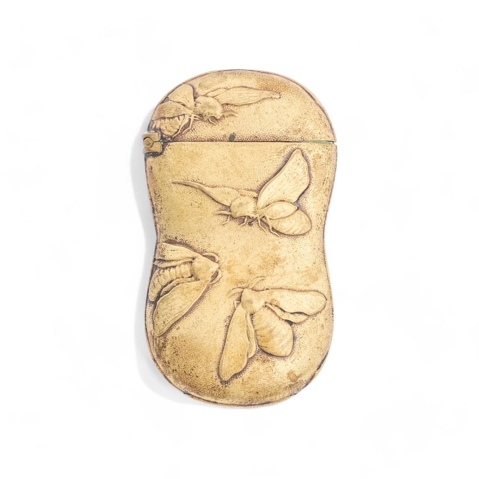 Art Nouveau Brass Match Safe with Bee Motif circa 1900 (1 of 8)