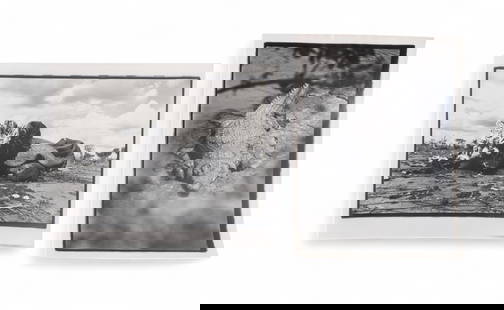 Pair of Peter Beard Proof Photographic Prints: Keywords: African wildlife, photographic proofs, crocodile imagery, elephant remains, wildlife conservation, black-and-white photography, Peter Beard style, Art Deco-era photographyTwo unsigned Peter