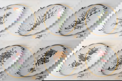 Salvador Dali Set of 6 Signed Framed Limited Edition Porcelain Collector's Plates