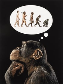 Mr. Strange Signed, Homo Stupidus, Limited Edition Screenprint