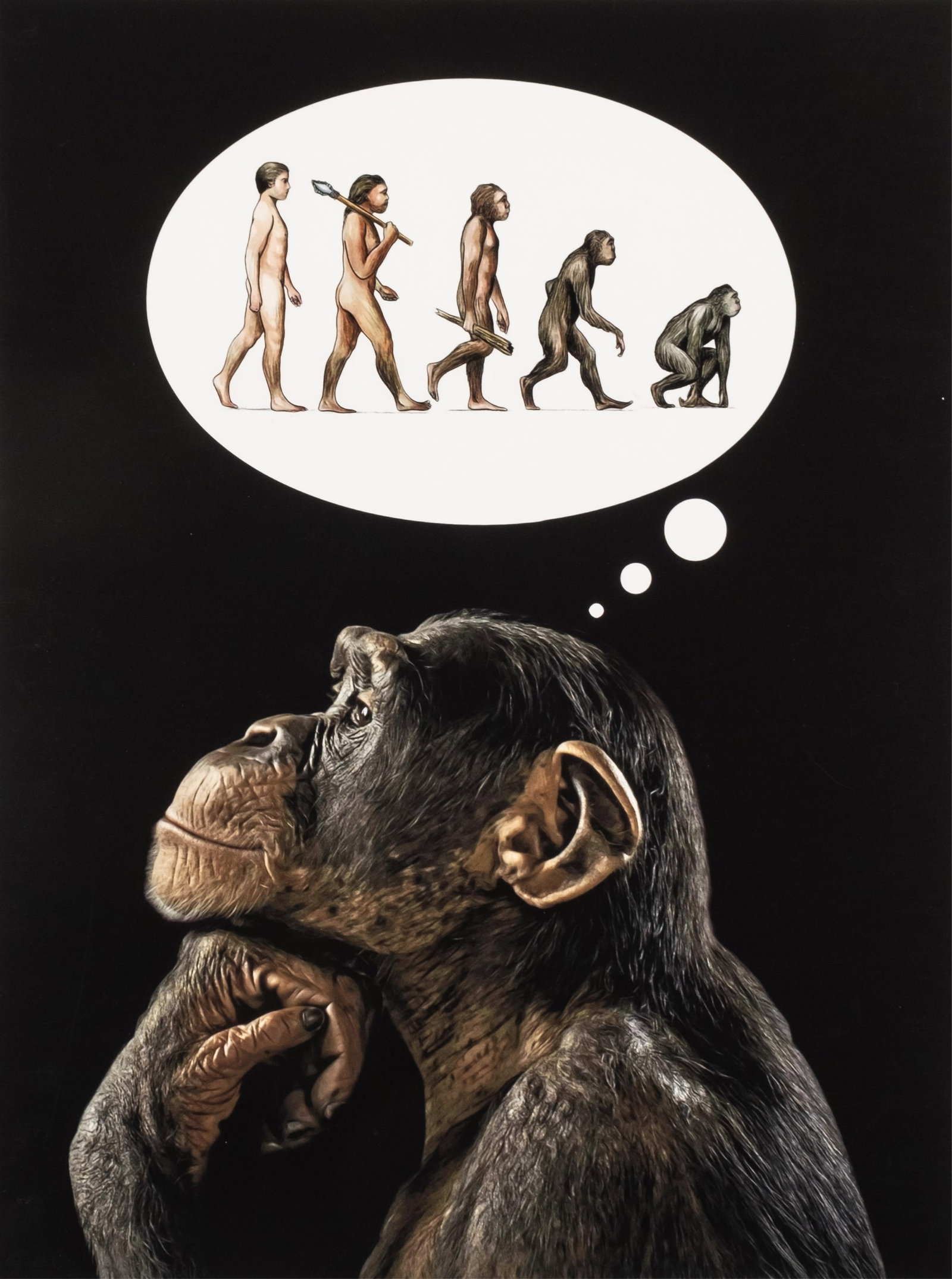 Mr. Strange Signed, Homo Stupidus, Limited Edition Screenprint (1 of 13)
