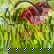 item-210596641=10