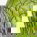 item-210596641=5