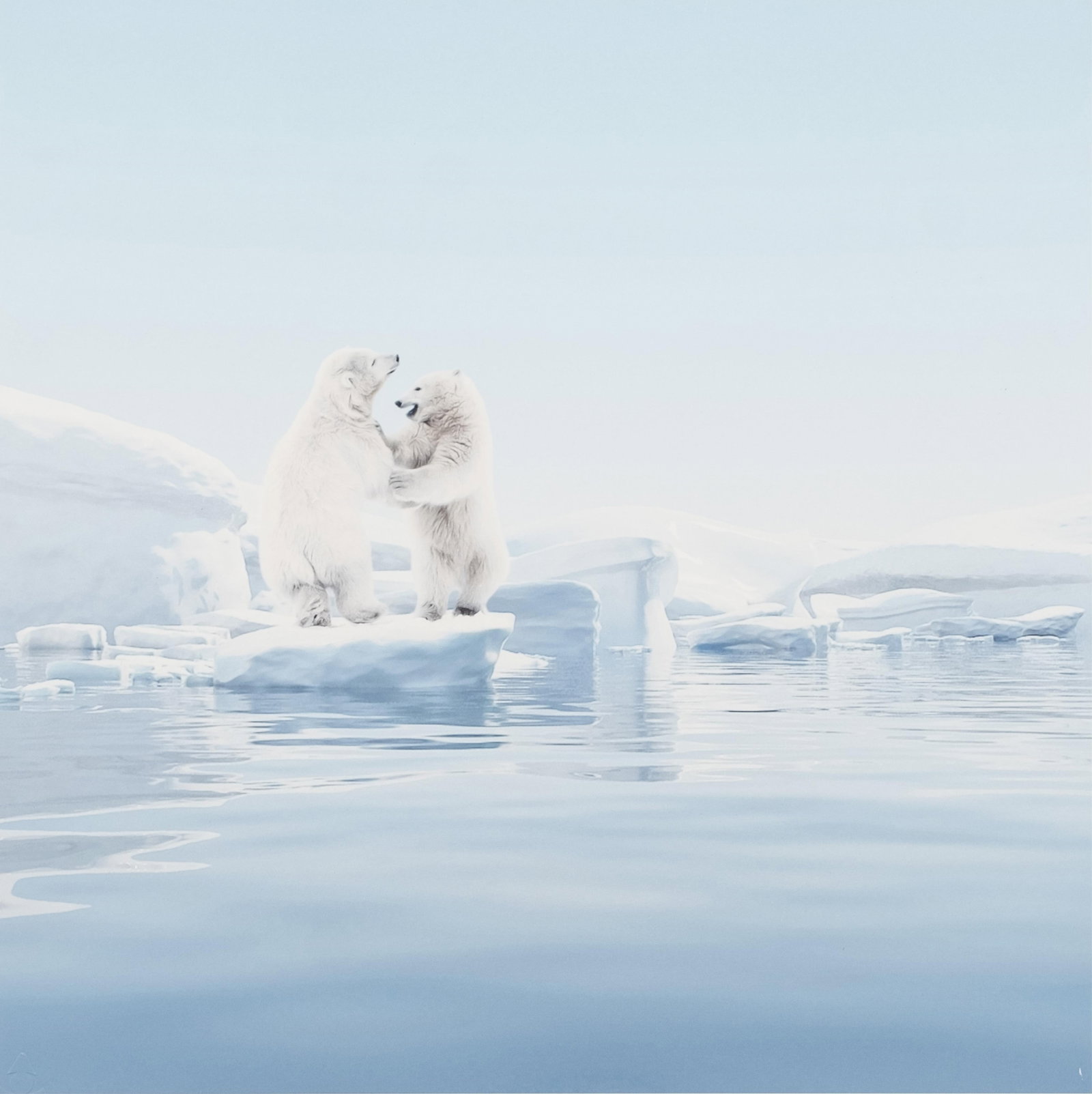 Mr Strange Signed, Polar Games, Limited Edition Silkscreen: Keywords: Contemporary art, modern art, surrealism, minimalism, pop art, graphic art, Banksy style, Damien Hirst style, Jeff Koons style, Late 20th century, Photorealism, PrintMr Strange Pencil Signed