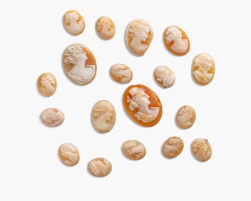 Group of Antique Shell Cameo Portrait Plaques, Classical Profiles