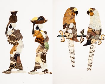 Vintage Central African Republic Butterfly Wing Collage