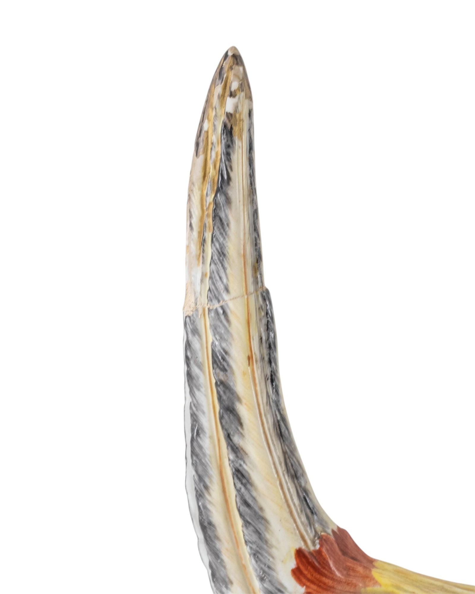 No Reserve- 19th Century Meissen Porcelain Golden Pheasant Figure - 7