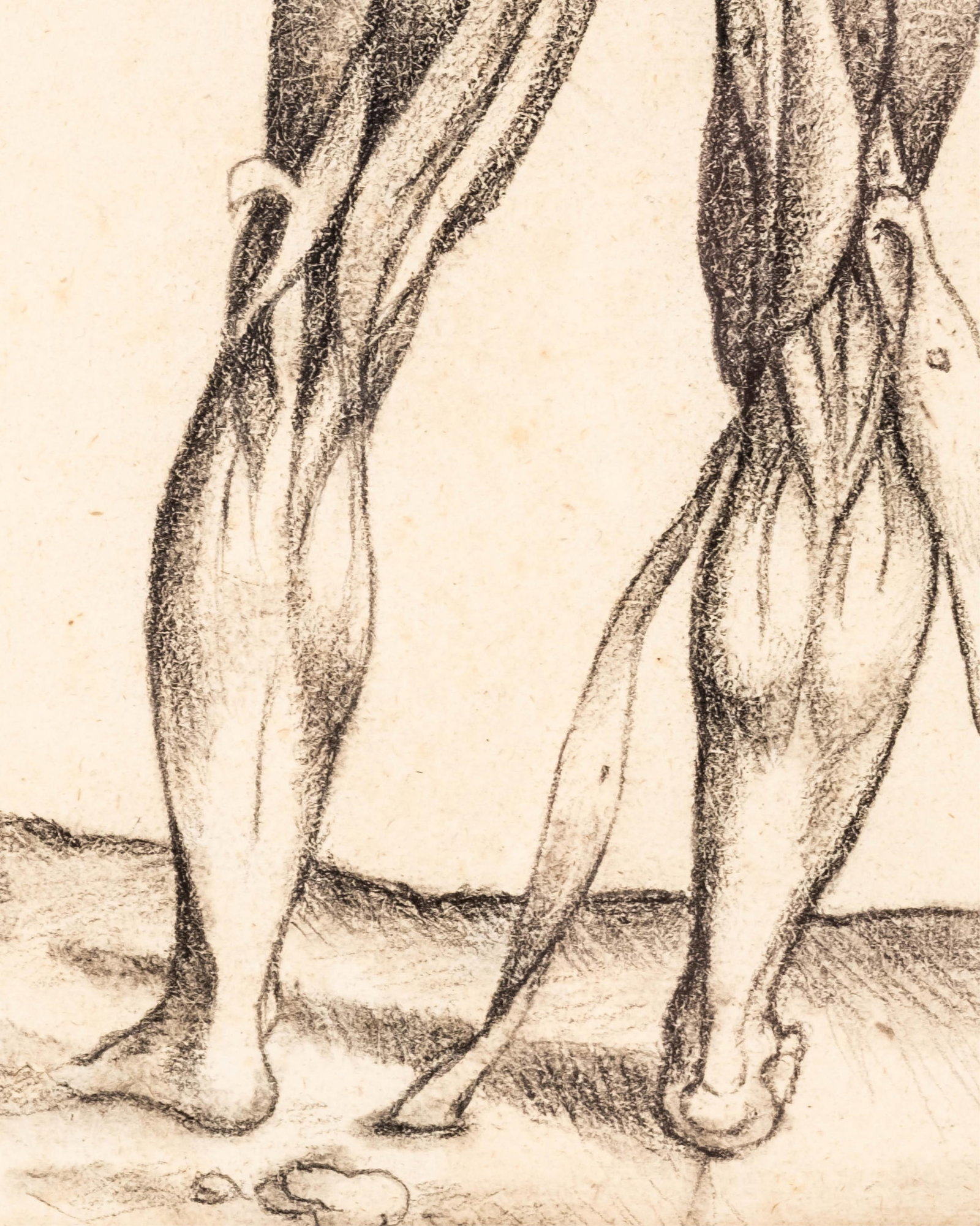 No Reserve- De Humani Corporis Fabrica Charcoal on Paper Copy, Anatomical Figure Study - 9