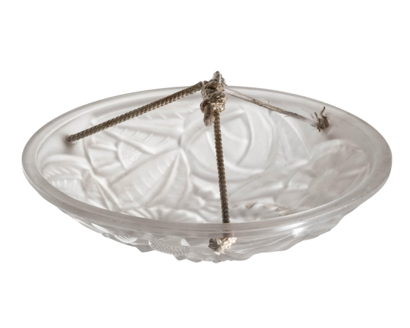 No Reserve- Degue Art Deco Molded Floral Glass Light Shade - 6