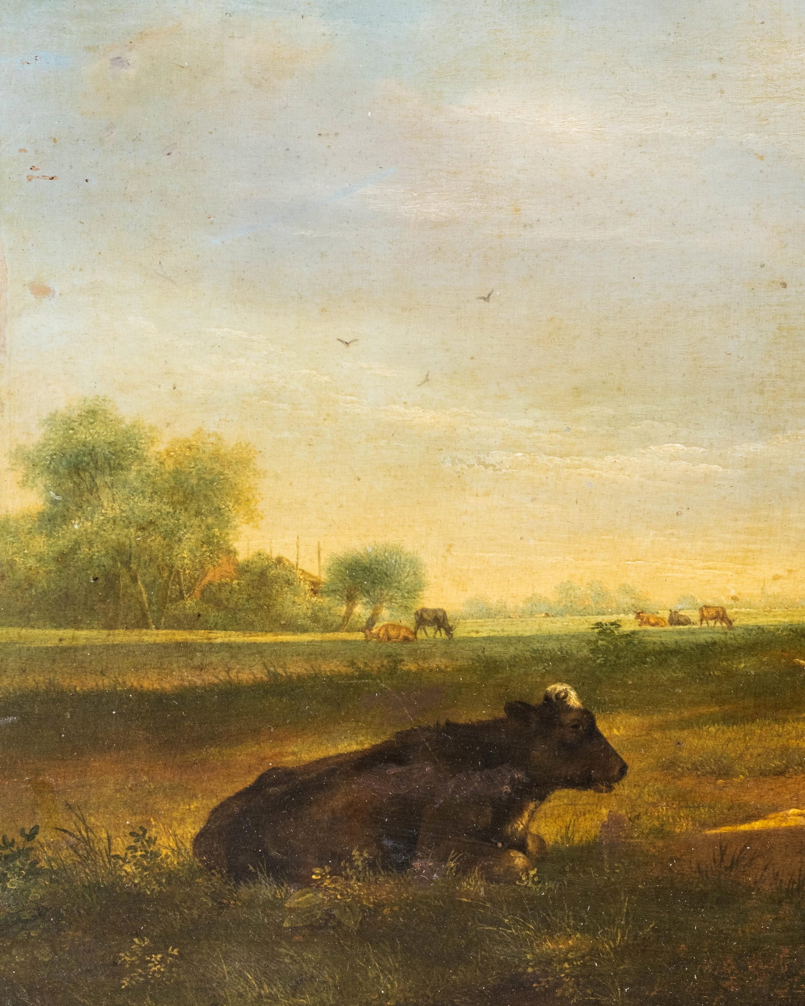 No Reserve- Flemish School, 19th Century Oil on Panel Painting, Cows in a Pasture - 4