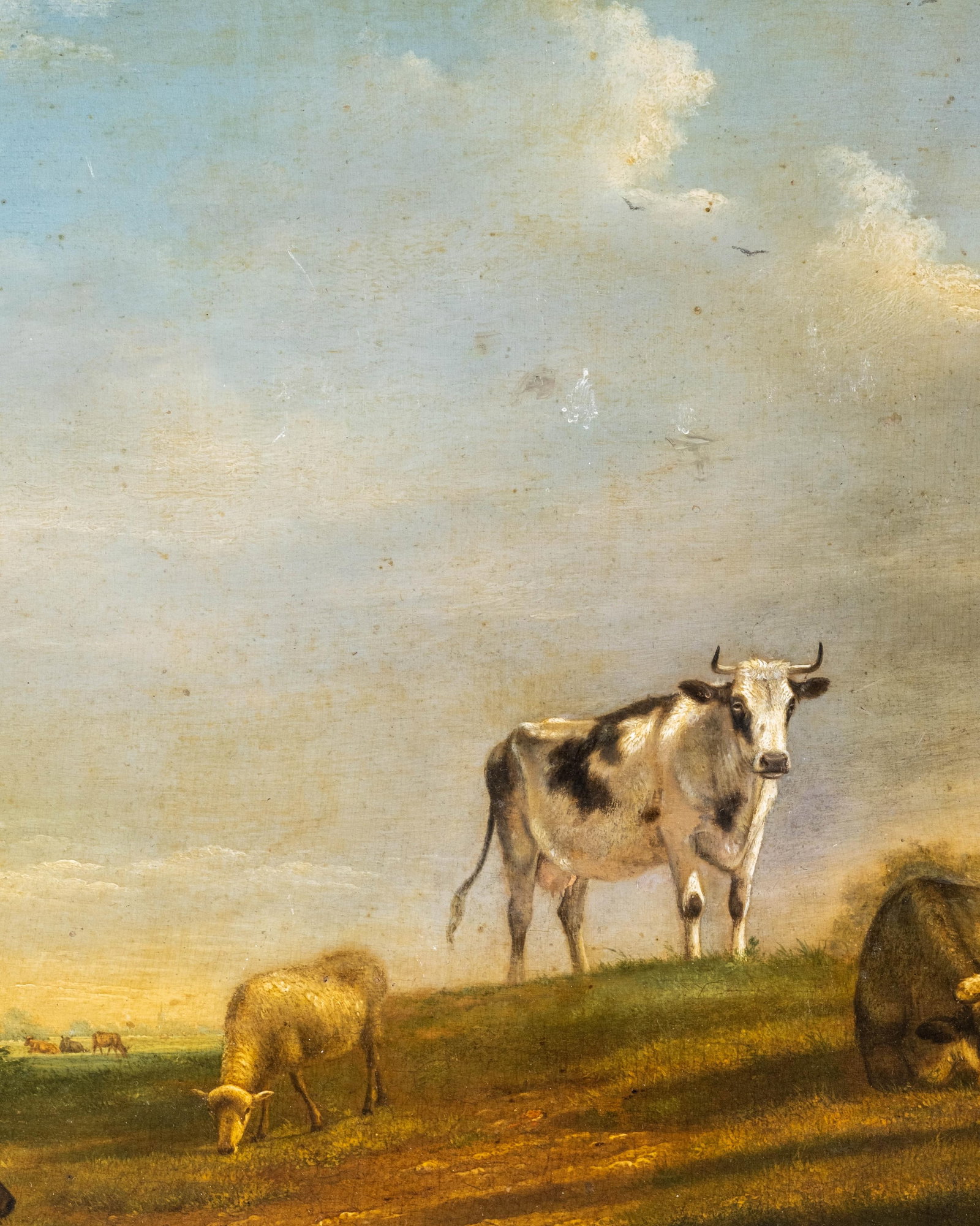 No Reserve- Flemish School, 19th Century Oil on Panel Painting, Cows in a Pasture - 5