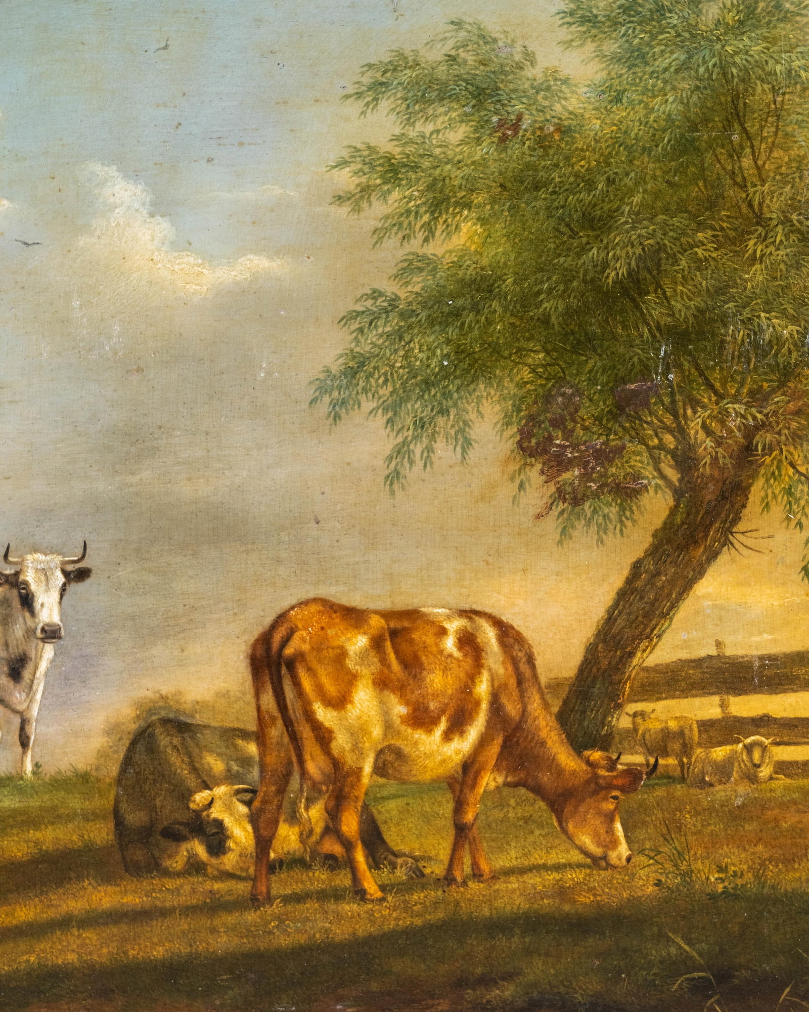 No Reserve- Flemish School, 19th Century Oil on Panel Painting, Cows in a Pasture - 6