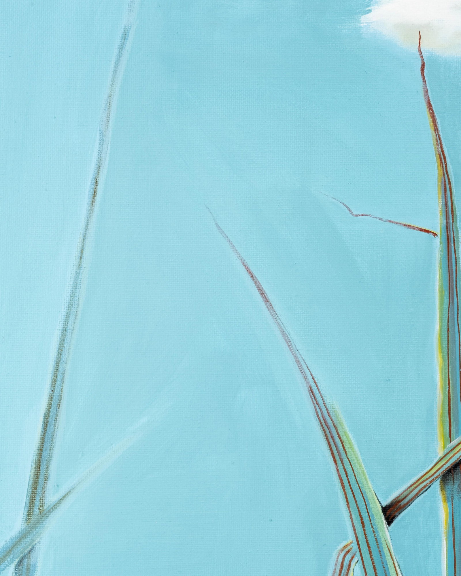 No Reserve- C. Dhers Bird In The Reeds Oil Painting, 1993 - 8