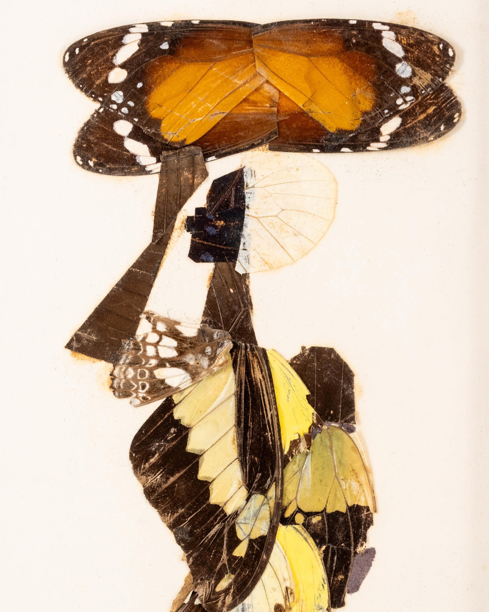 No Reserve- Vintage Butterfly Wing Folk Art Painting - 4