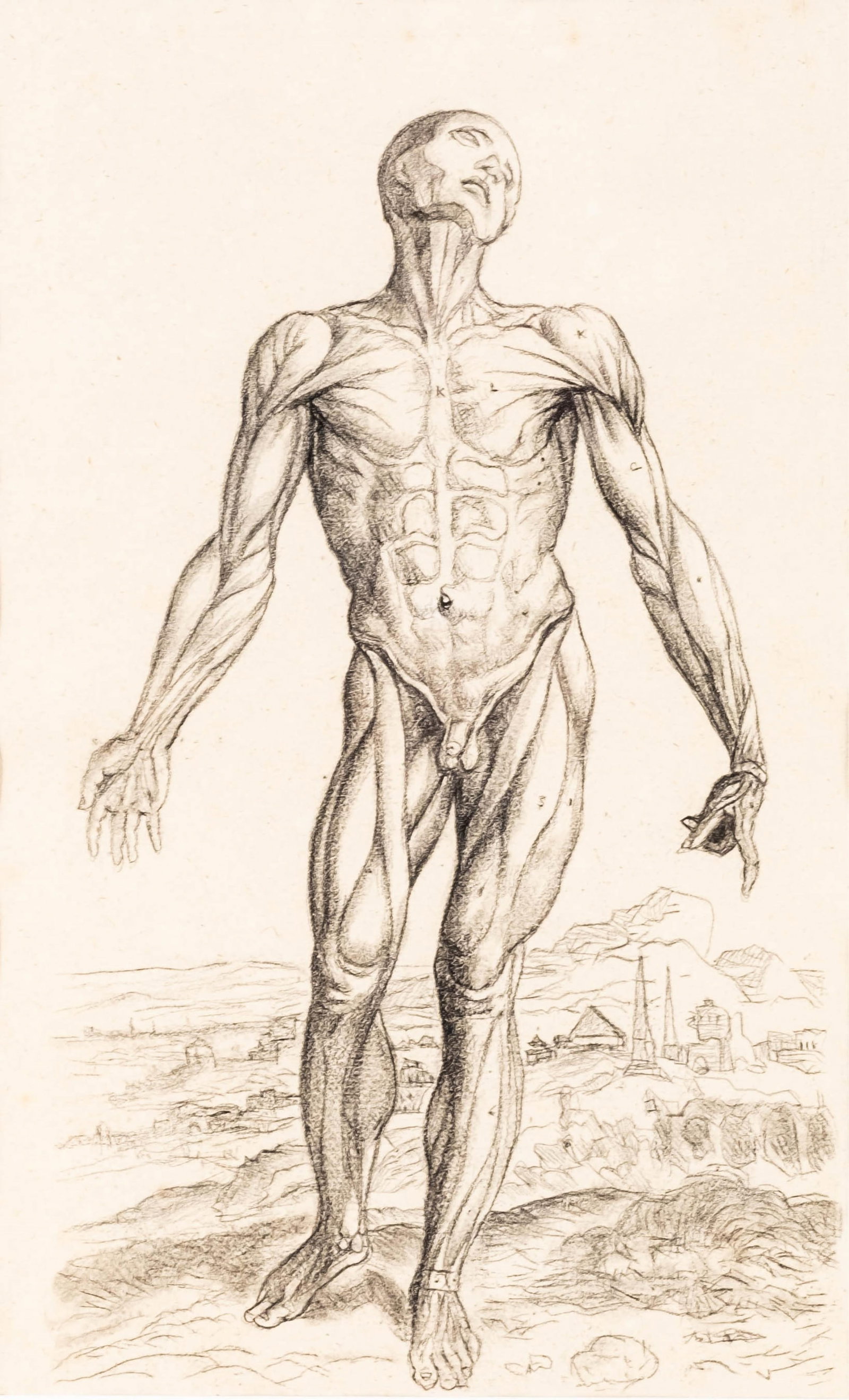 No Reserve: Charcoal Drawing Anatomical Figure Study Literature: De Humani Corporis Fabrica, Andrea: Keywords: De Humani Corporis Fabrica, On the Fabric of the Human Body, anatomical study, human anatomy, charcoal on paper, after the original print, medical illustration, figure study, framed drawing,