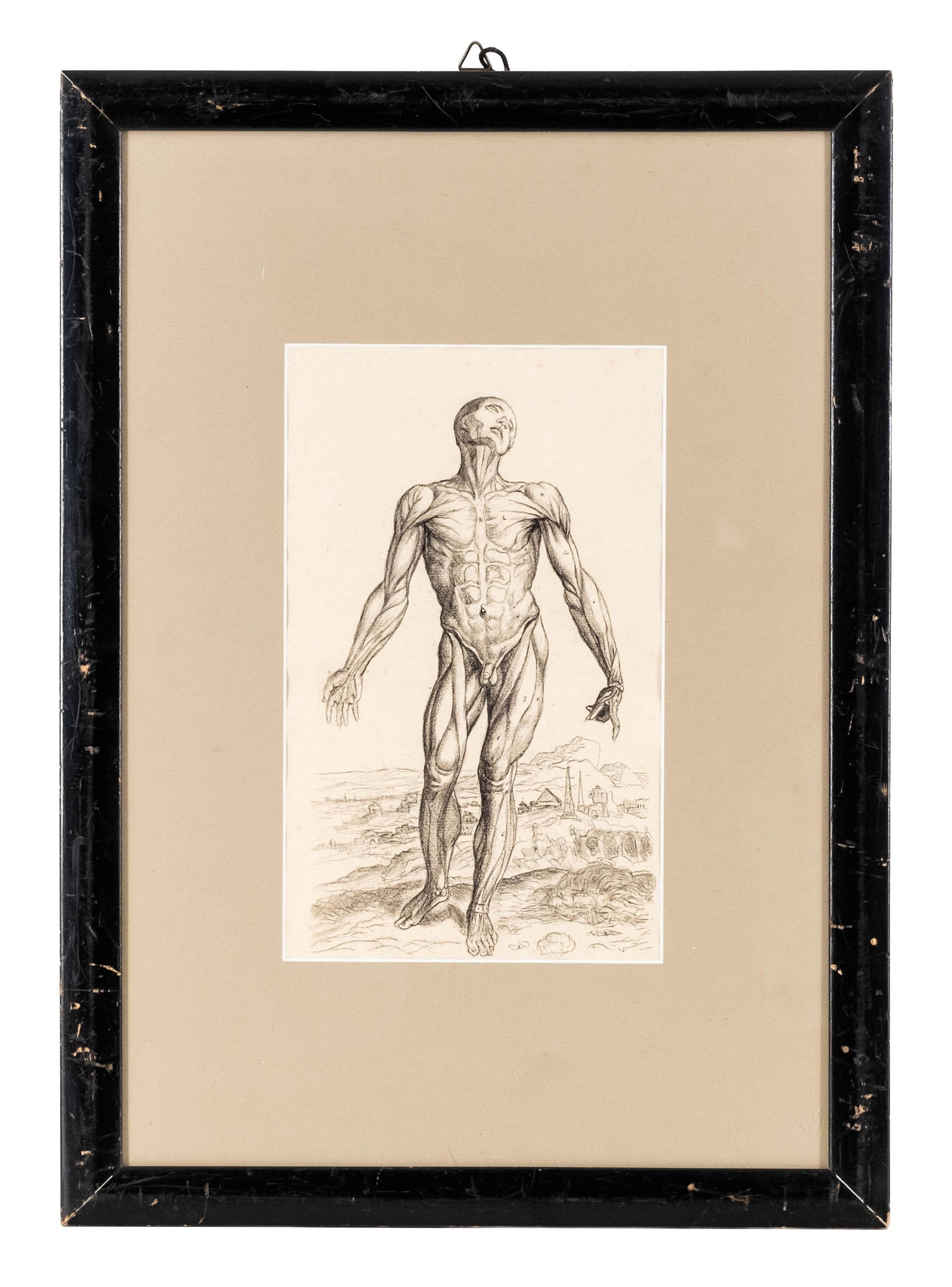 No Reserve: Charcoal Drawing Anatomical Figure Study Literature: De Humani Corporis Fabrica, Andrea - 3