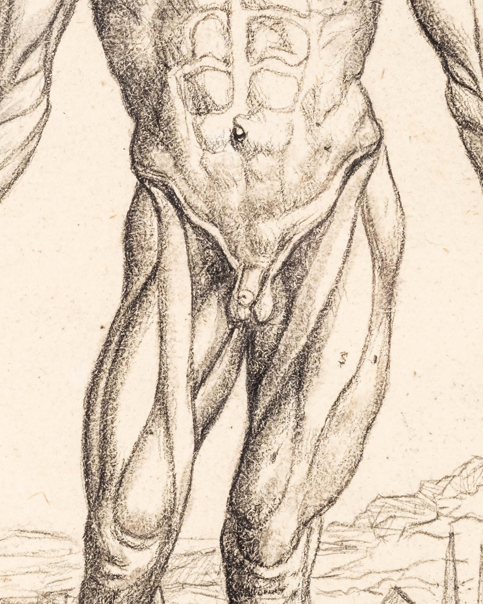 No Reserve: Charcoal Drawing Anatomical Figure Study Literature: De Humani Corporis Fabrica, Andrea - 5