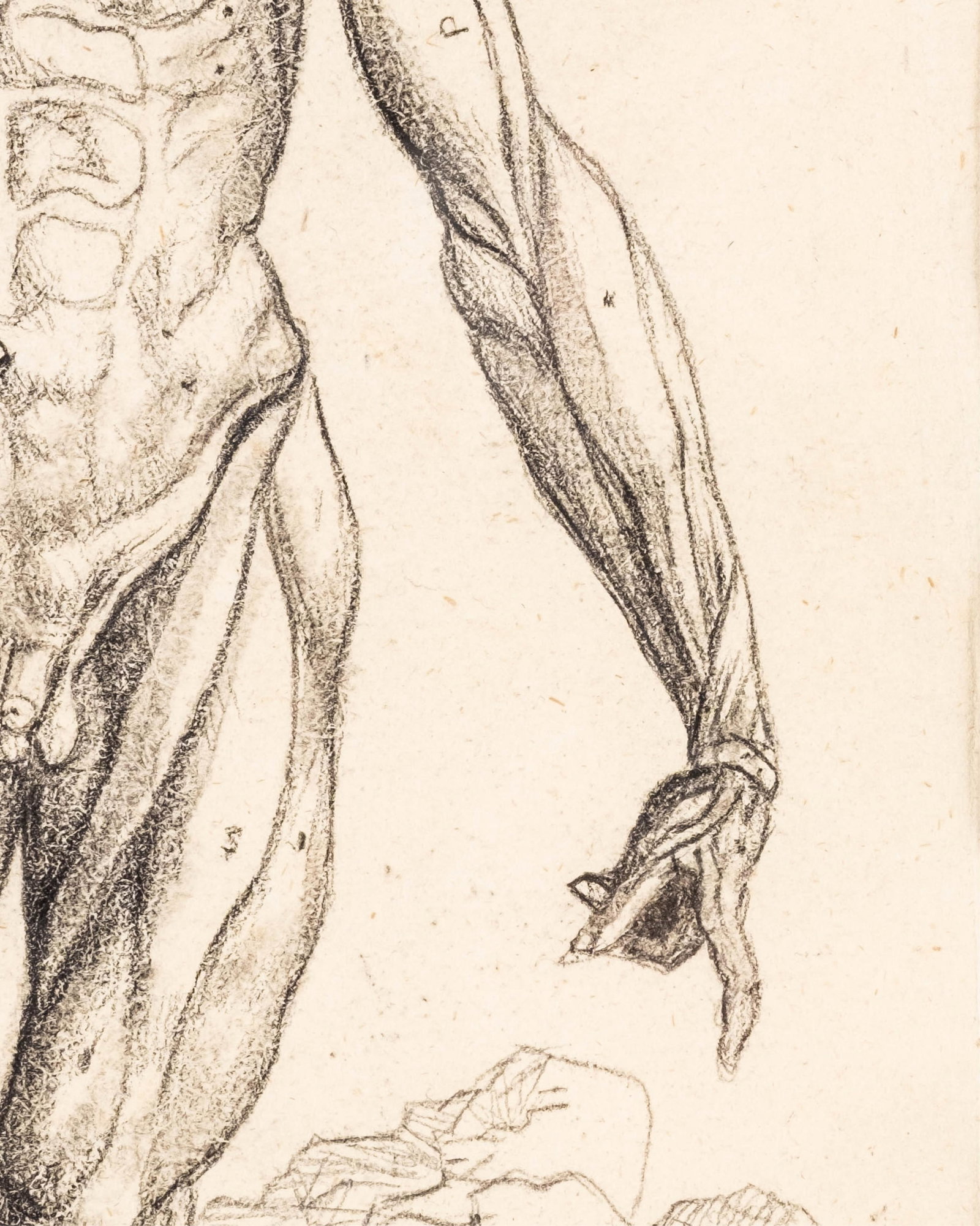 No Reserve: Charcoal Drawing Anatomical Figure Study Literature: De Humani Corporis Fabrica, Andrea - 6