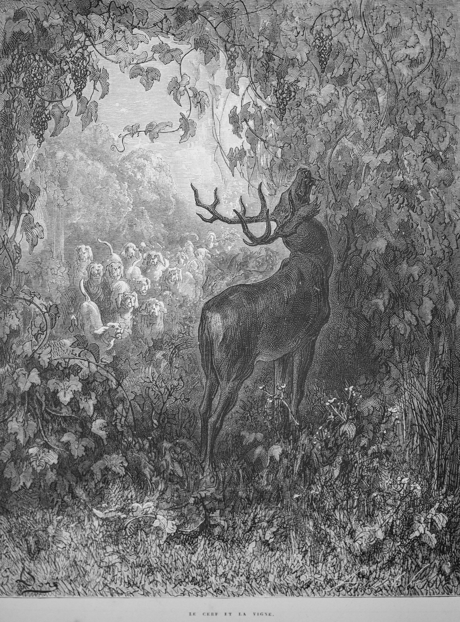 No Reserve: La Fontaine Fables, Gustave Doré Illustrations, Hachette, 1890 Edition - 6