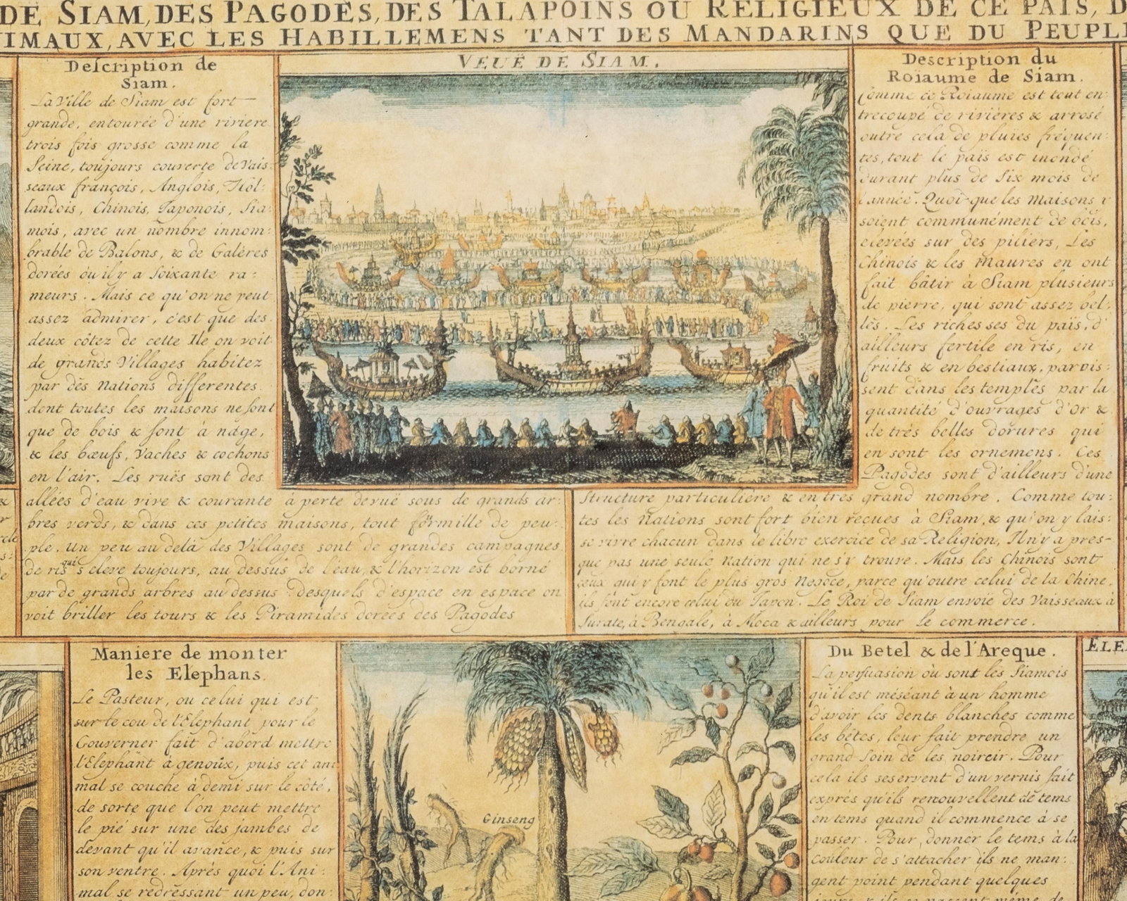 No Reserve: French 18th Century Hand-Colored Engravings Mounted Together, 'La Ville de Siam' - 5