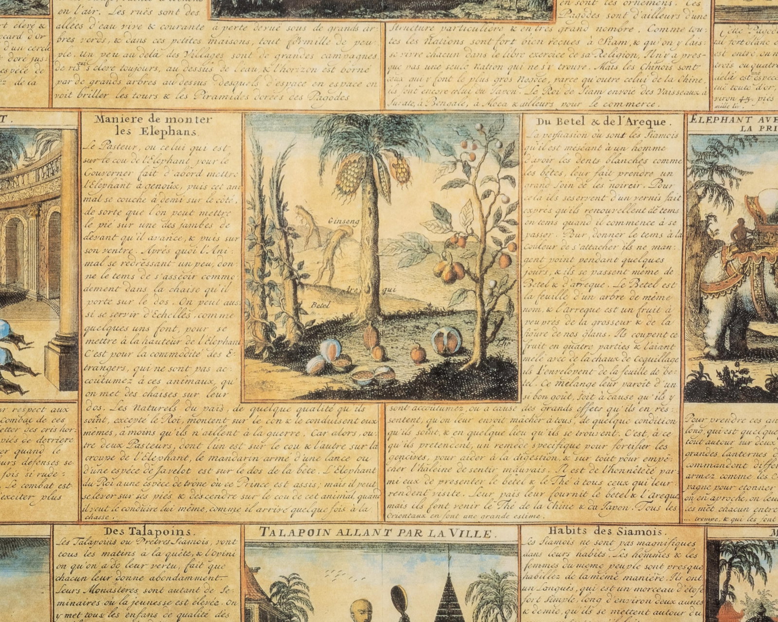 No Reserve: French 18th Century Hand-Colored Engravings Mounted Together, 'La Ville de Siam' - 8