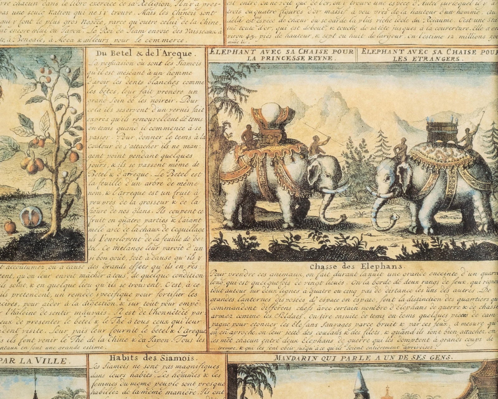 No Reserve: French 18th Century Hand-Colored Engravings Mounted Together, 'La Ville de Siam' - 9