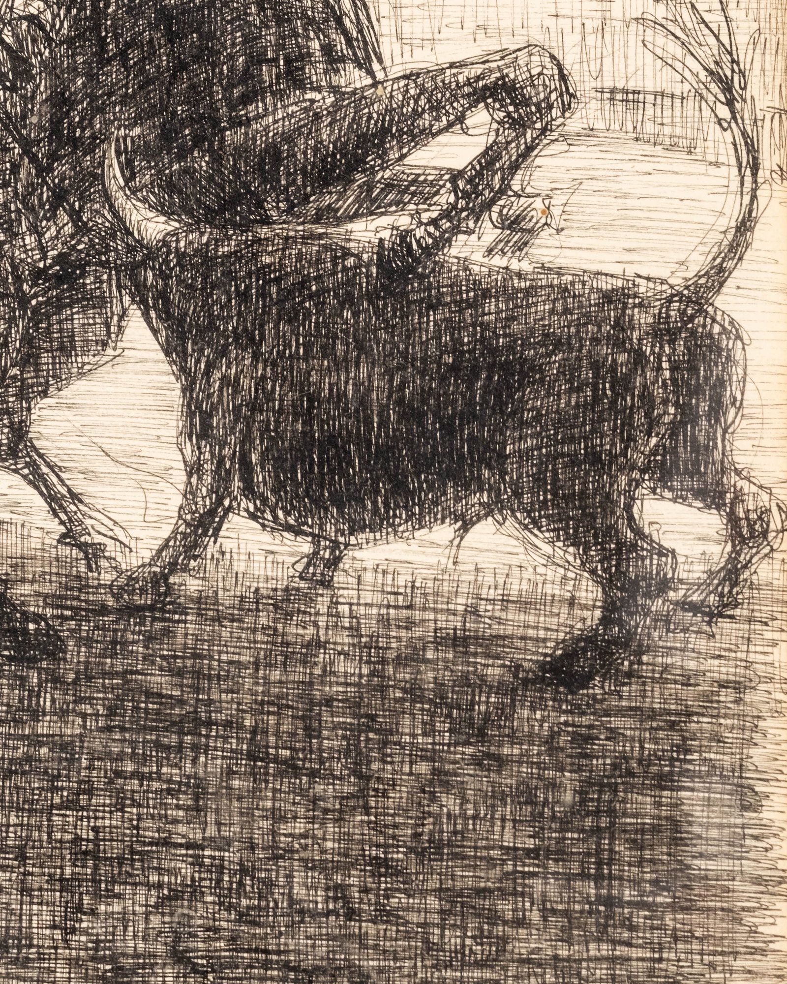 No Reserve: Mid-20th Century Spanish Bullfighting Pen & Ink Drawing - 5