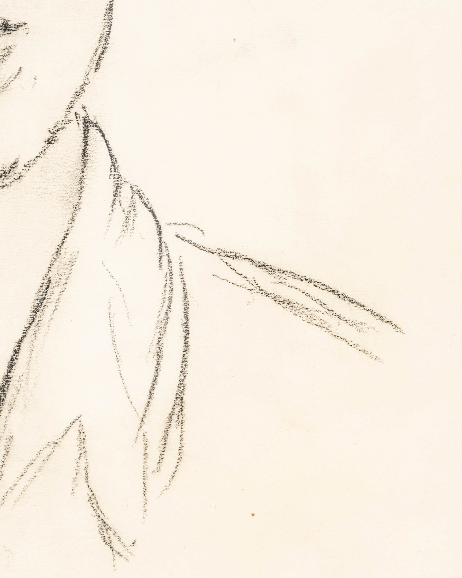 No Reserve: Henri Matisse (attrib), Portrait of Paul Matisse, Signed and Dated Drawing - 6