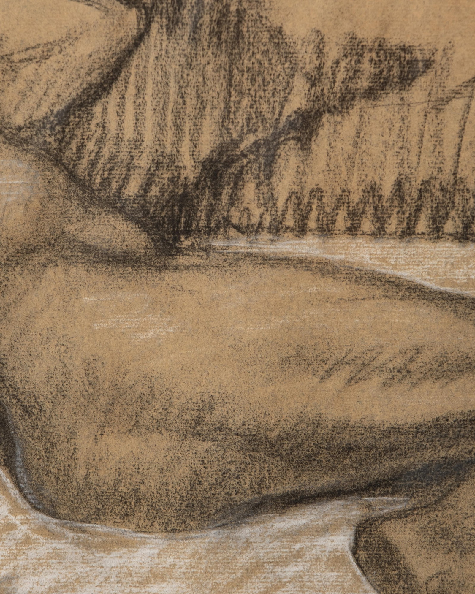 Théophile Alexandre Steinlen Reclining Female Nude Charcoal and White Chalk Drawing - 7