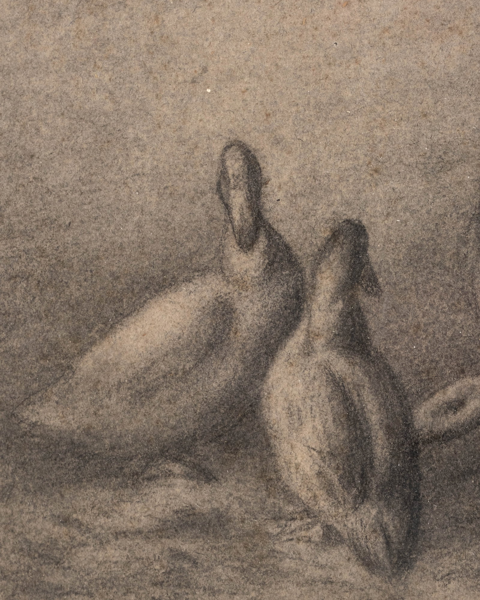 No Reserve: Late 19th Century Drawing in Graphite signed illeg. possibly J E Millet or T F Millet? - 5