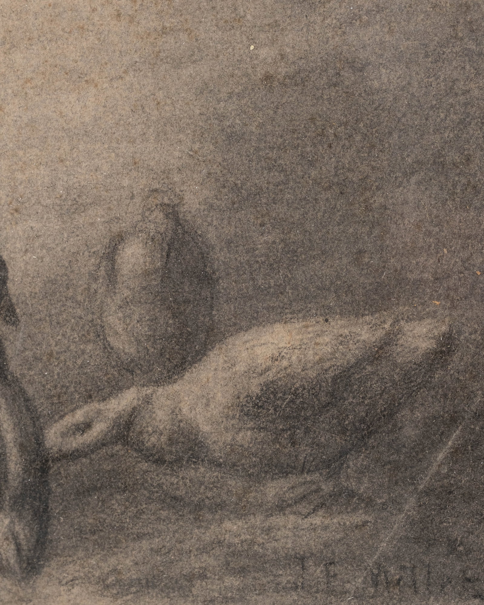No Reserve: Late 19th Century Drawing in Graphite signed illeg. possibly J E Millet or T F Millet? - 6