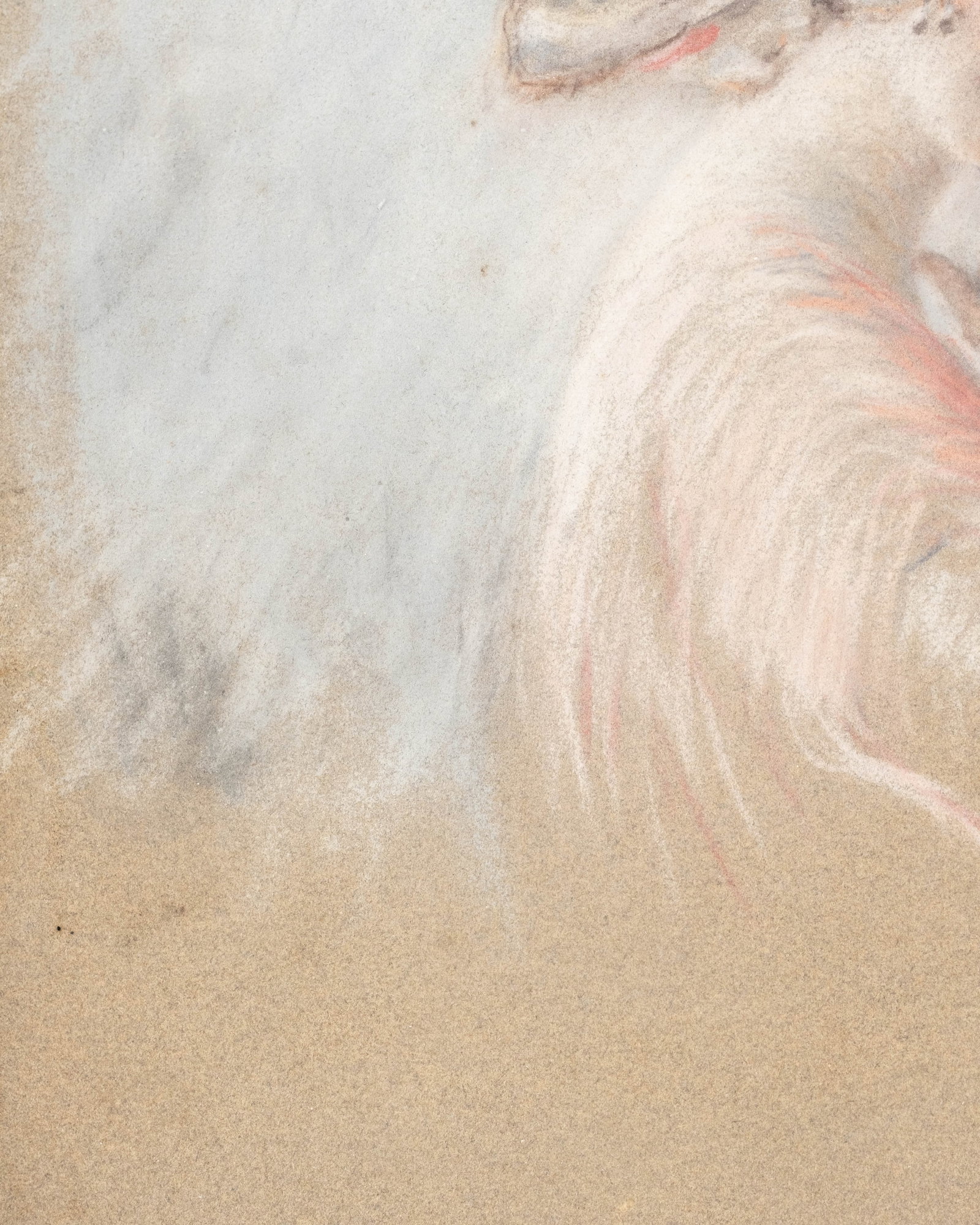 No Reserve: Mystery Artist: Art Nouveau Portrait of a Young Woman Pastel and Chalk Painting, C. 1900 - 5