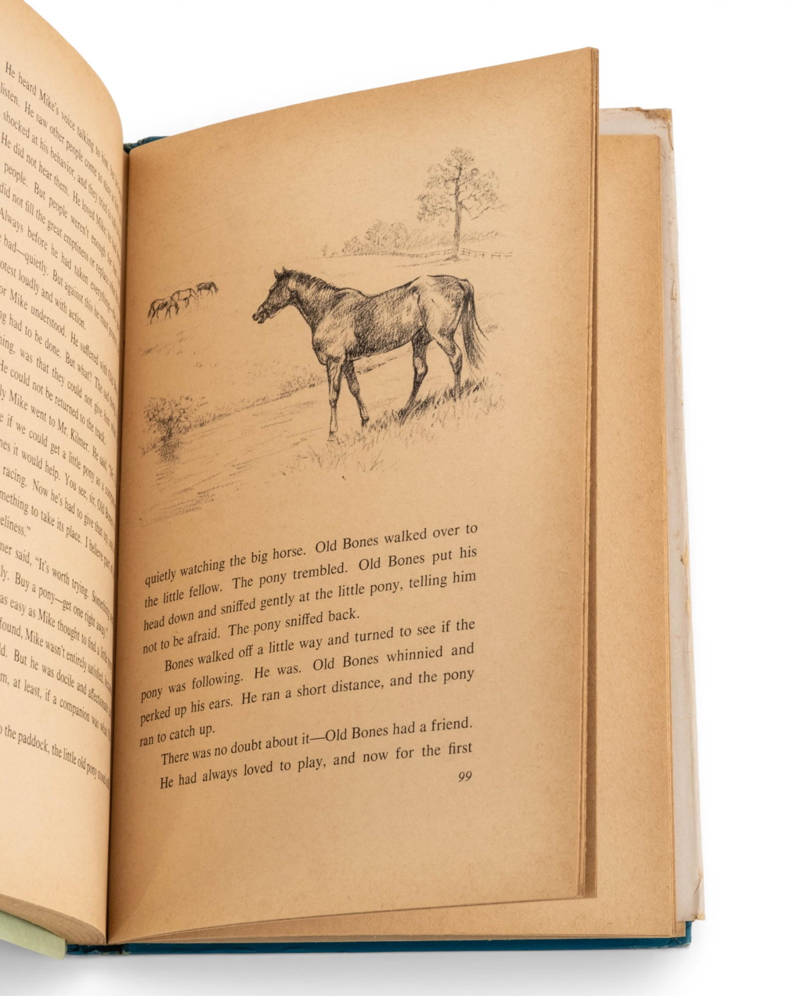 No Reserve: Group of Five Thoroughbred Horse Racing Items Featuring Exterminator 'Old Bones' - 16