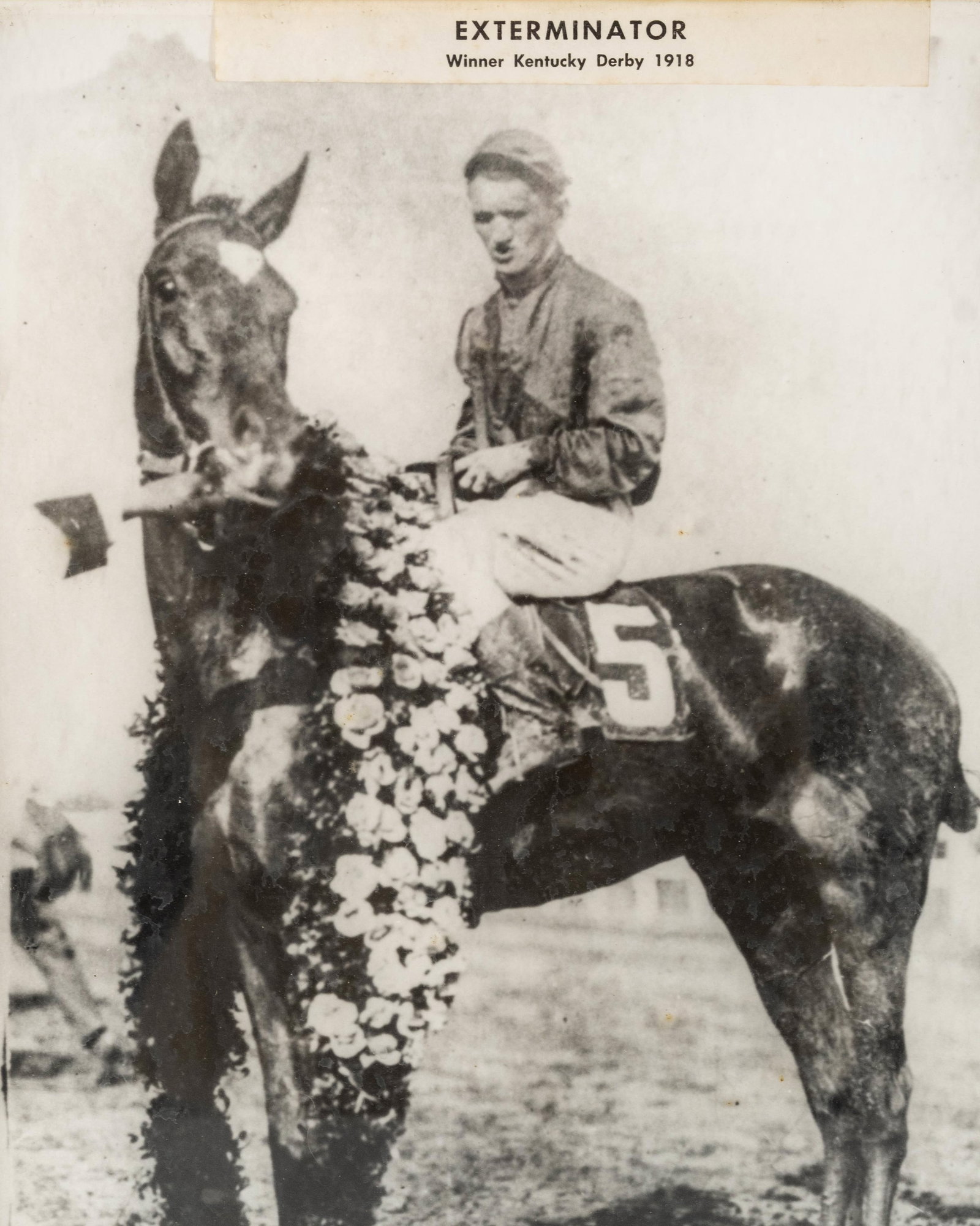 No Reserve: Group of Five Thoroughbred Horse Racing Items Featuring Exterminator 'Old Bones' - 19