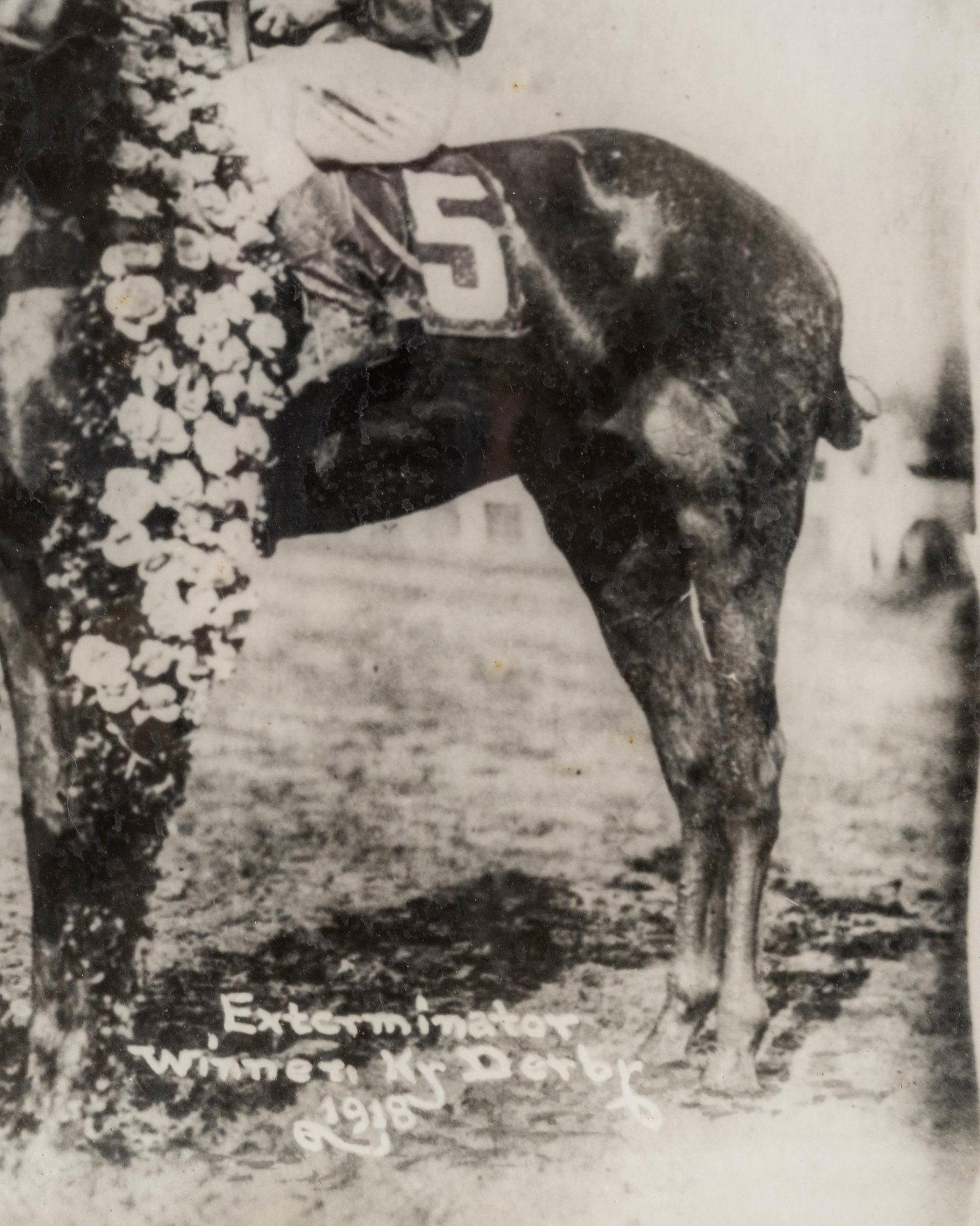 No Reserve: Group of Five Thoroughbred Horse Racing Items Featuring Exterminator 'Old Bones' - 20