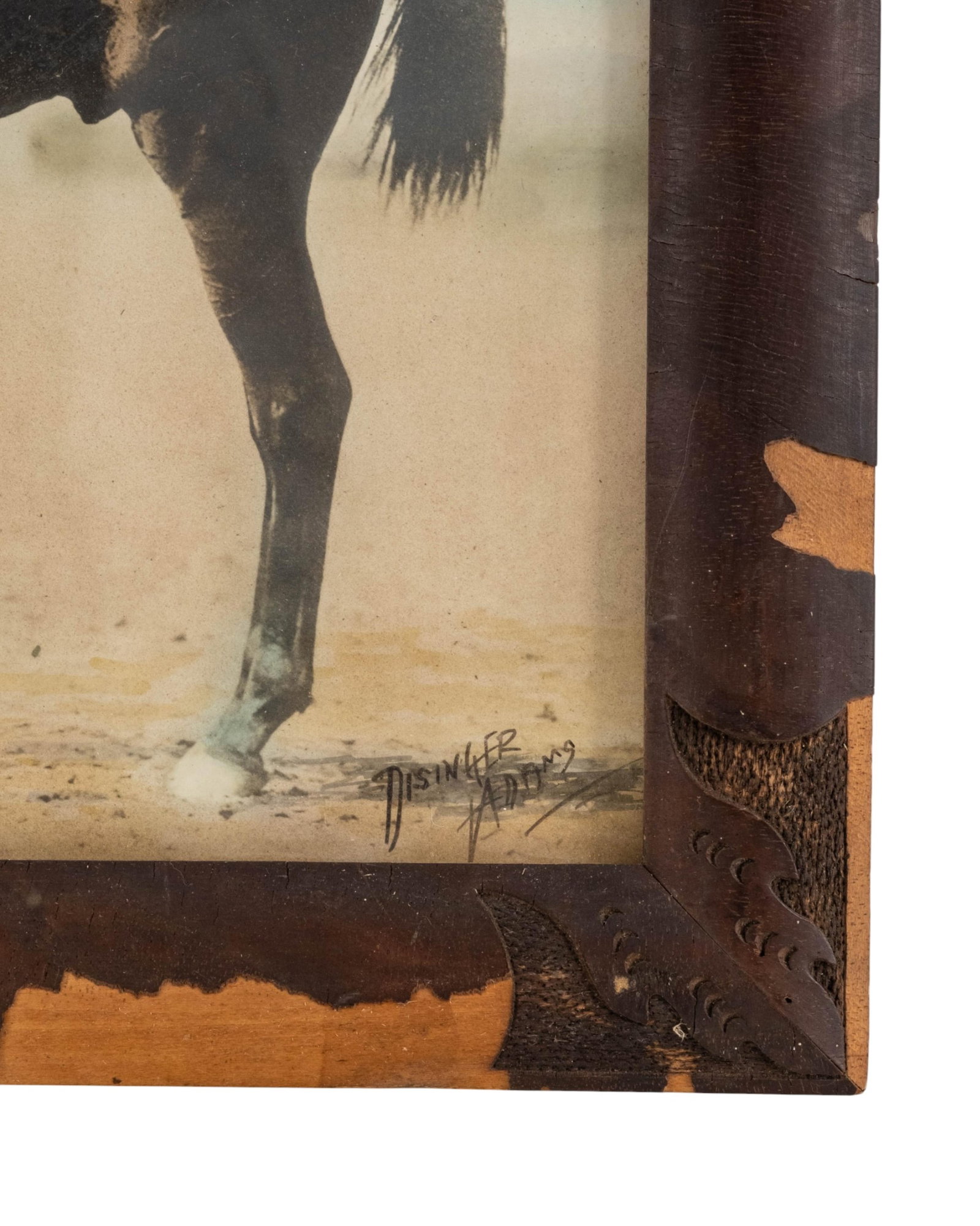 No Reserve: Group of Five Thoroughbred Horse Racing Items Featuring Exterminator 'Old Bones' - 4
