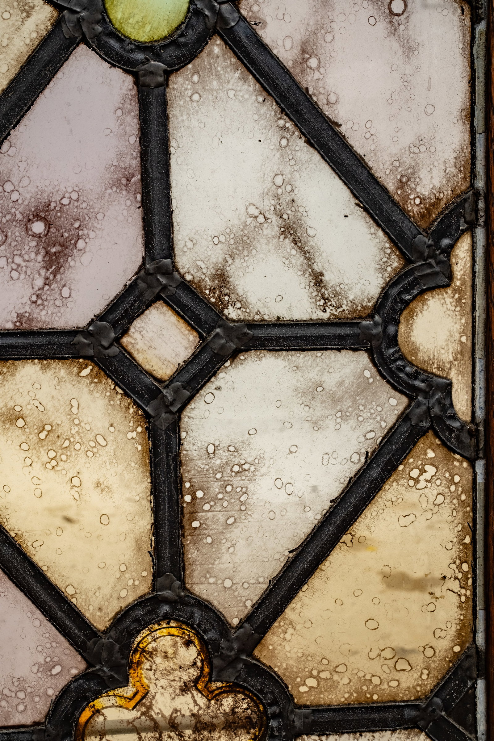 No Reserve: Pair Antique Gothic Stained & Leaded Glass Windows, 19th Century - 7