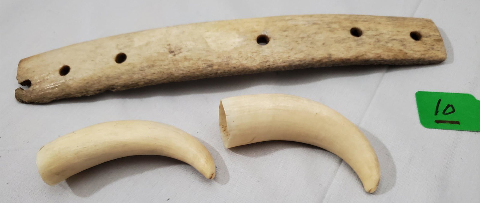 Two Marine Mammal Teeth and a Whale Bone: Two Marine Mammal Teeth and a Whale Bone. The bone, probably a part of the rib-cage, has been drilled to form an implement, possibly for hunting as a spear thrower. Whale bone 11 inches and mammoth te