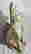 item-123378003=3